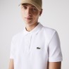 Polo test zoom